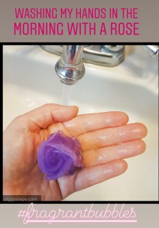 washingwithpurplerose1
